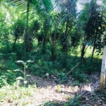 WhatsApp Image 2022 05 19 at 12.17.19 PM 1