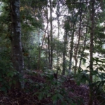 WhatsApp Image 2022 05 19 at 8.46.43 AM