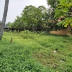 WhatsApp Image 2022 05 20 at 4.32.52 PM