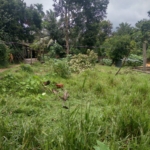 WhatsApp Image 2022 06 10 at 12.36.24 PM 1