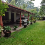 WhatsApp Image 2022 06 11 at 9.40.15 AM 1