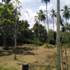 WhatsApp Image 2022 06 13 at 12.32.33 PM