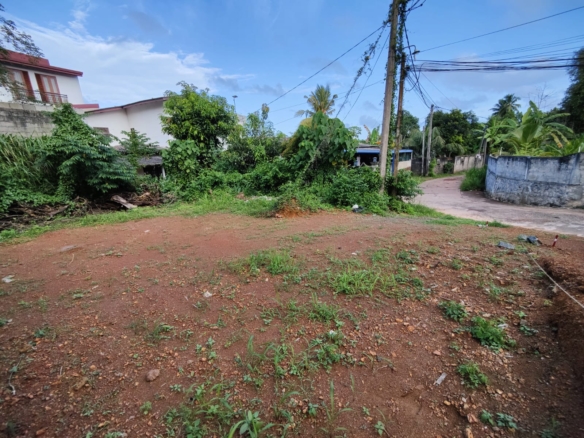 WhatsApp Image 2022 06 17 at 11.55.41 AM