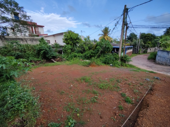 WhatsApp Image 2022 06 17 at 11.56.11 AM