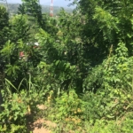 WhatsApp Image 2022 06 17 at 12.56.42 PM