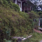 WhatsApp Image 2022 06 23 at 12.09.51 PM