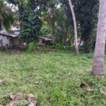 WhatsApp Image 2022 06 24 at 10.26.35 AM