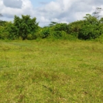 WhatsApp Image 2022 06 24 at 11.17.59 AM