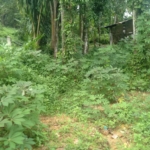 WhatsApp Image 2022 06 29 at 1.26.48 PM 1