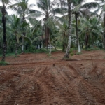 WhatsApp Image 2022 07 08 at 1.12.57 PM