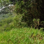 WhatsApp Image 2022 07 08 at 10.06.50 AM