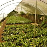 WhatsApp Image 2022 07 09 at 11.38.42 AM