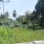 WhatsApp Image 2022 07 11 at 9.47.28 AM 1