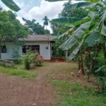 WhatsApp Image 2022 07 11 at 9.59.26 AM 1