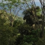 WhatsApp Image 2022 07 12 at 11.08.47 AM