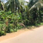 WhatsApp Image 2022 07 12 at 12.49.47 PM