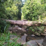 WhatsApp Image 2022 07 12 at 9.48.33 AM