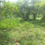 WhatsApp Image 2022 07 14 at 10.59.41 AM