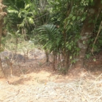 WhatsApp Image 2022 07 15 at 11.42.20 AM