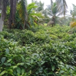 WhatsApp Image 2022 07 15 at 12.37.26 PM