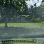 WhatsApp Image 2022 07 18 at 10.26.10 AM