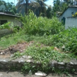 WhatsApp Image 2022 07 18 at 10.30.22 AM