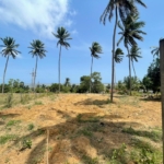 WhatsApp Image 2022 07 20 at 12.29.40 PM