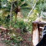 WhatsApp Image 2022 07 20 at 9.20.33 AM 1