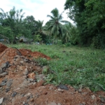 WhatsApp Image 2022 07 21 at 9.32.55 AM