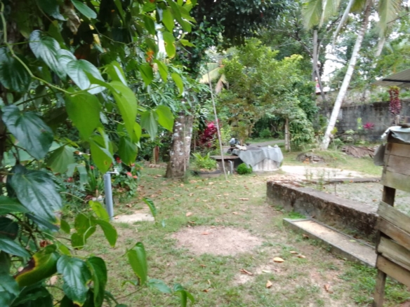 Homagama1