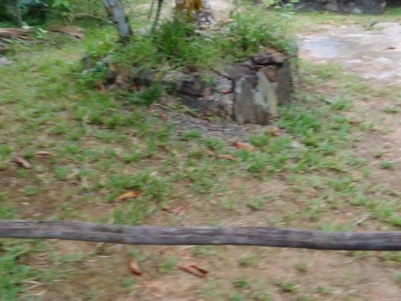 Homagama2