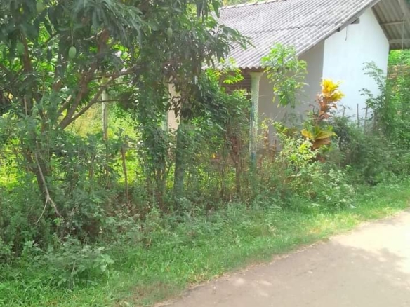 Rathnapura1