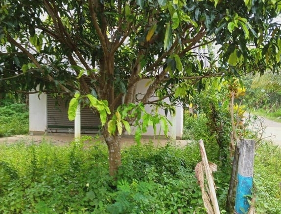 Rathnapura3