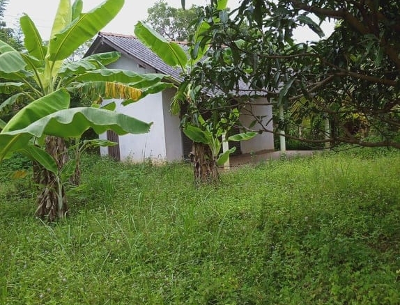 Rathnapura4