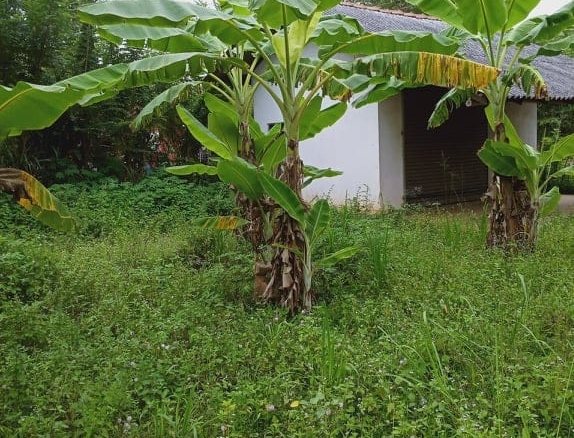 Rathnapura5