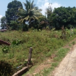 WhatsApp Image 2023 03 08 at 11.34.24