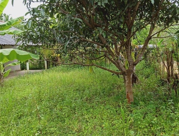 rathnapura6